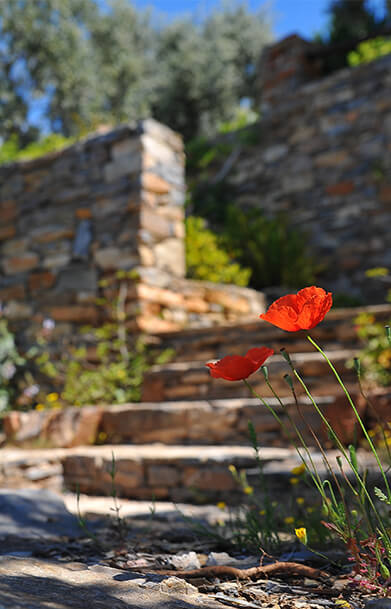 Retaining Wall Essex Southend
